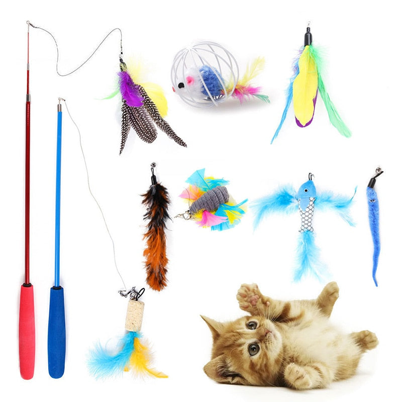Amazing Toy Bundles for Cats - Corgi Pet Deals