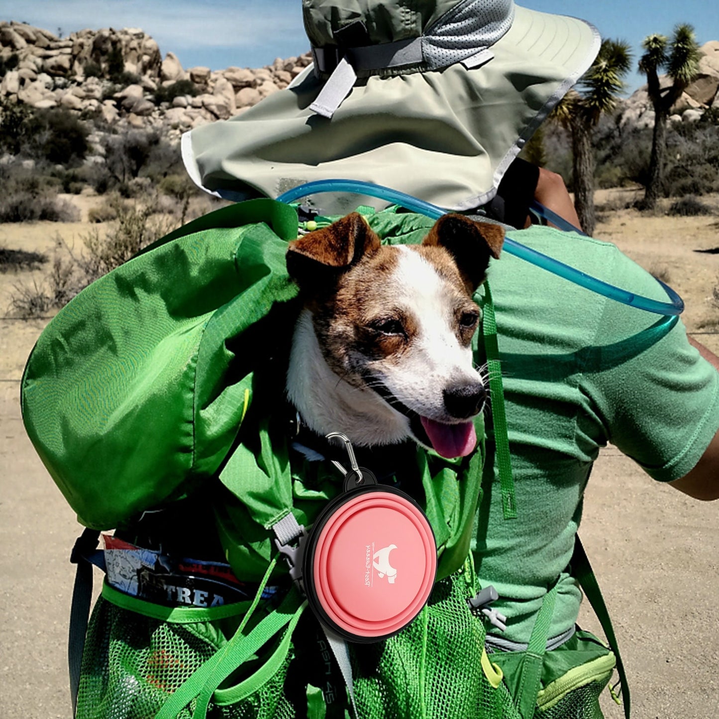Colorful Pet Water and Food Bowl for Travel - Corgi Pet Deals